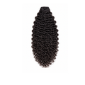 Burmese Curly Bundle