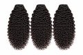 Burmese Curly 3 Bundle Deal